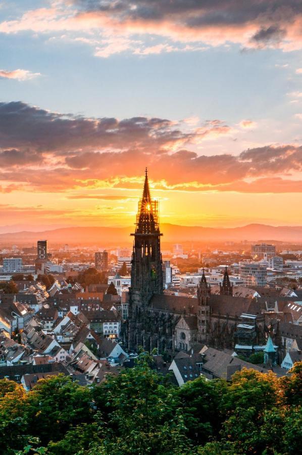 City Lux Apartment In Der Stadt フライブルク エクステリア 写真