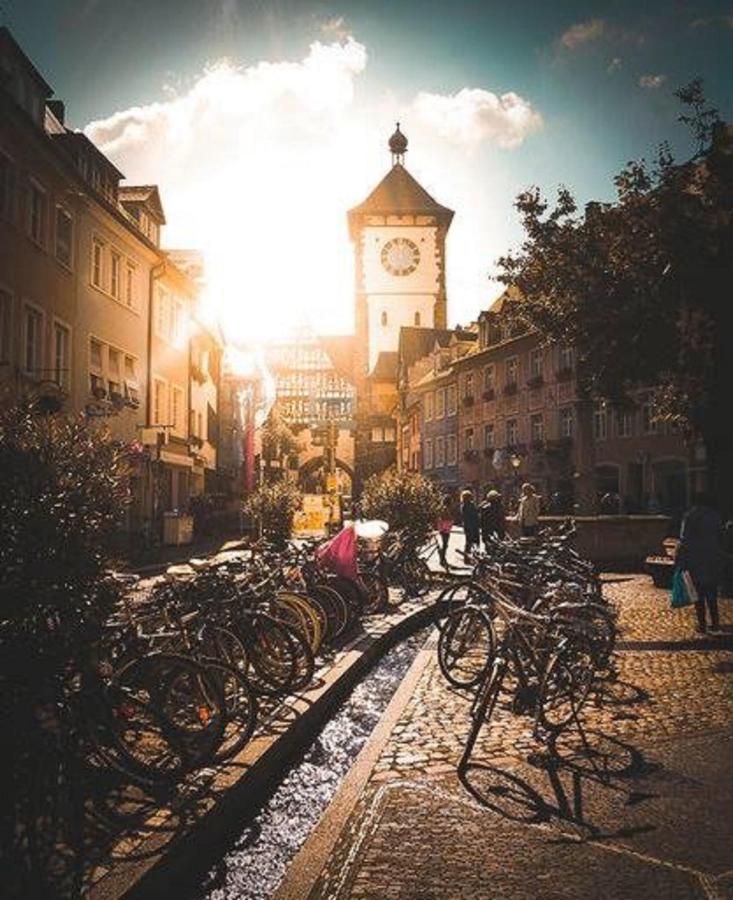 City Lux Apartment In Der Stadt フライブルク エクステリア 写真