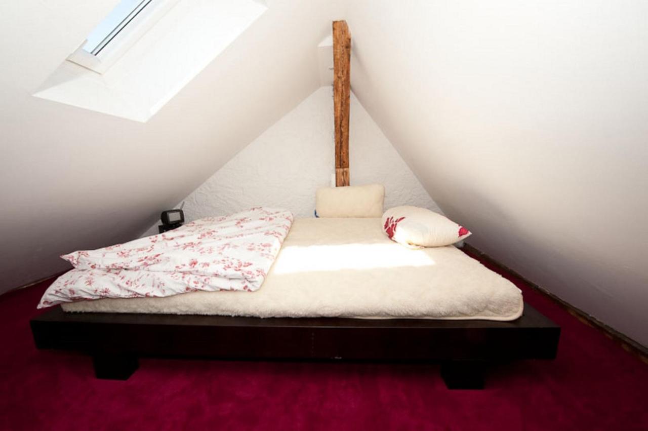 City Lux Apartment In Der Stadt フライブルク エクステリア 写真